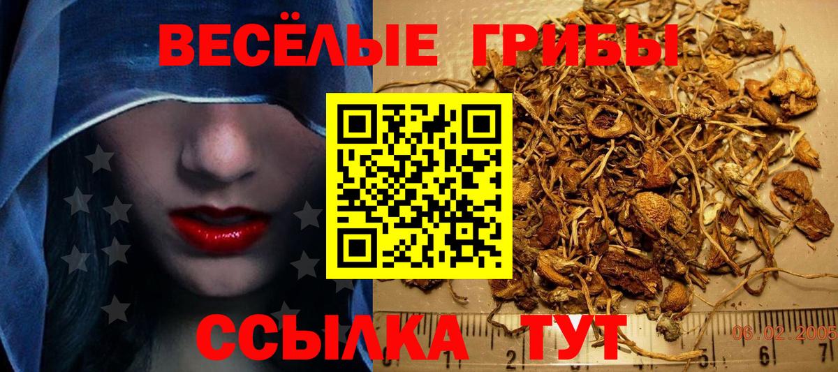 Псилоцибиновые грибы прущие грибы Строитель